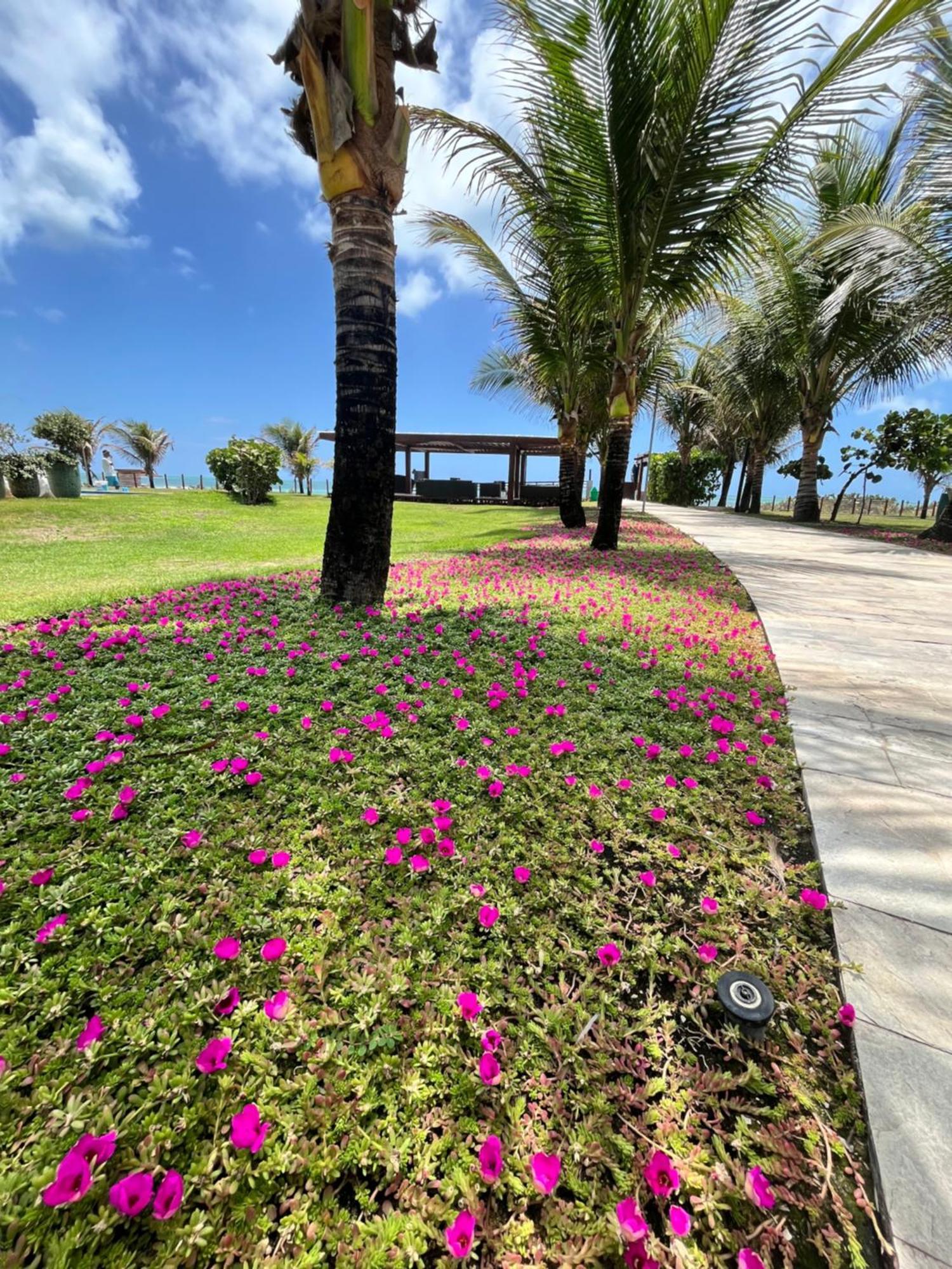 Resort Beira Mar Em Porto De Galinhas - Cupe Beach Living Porto de Galinhas Luaran gambar